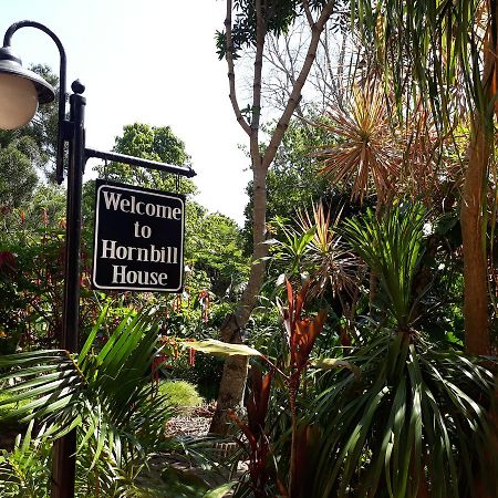 Hornbill House Bed and Breakfast Mtubatuba Eksteriør billede